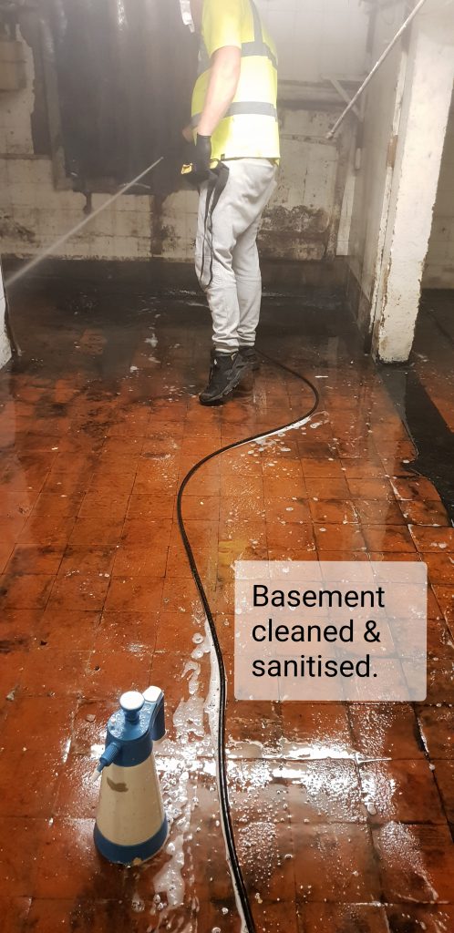 basement cleaning